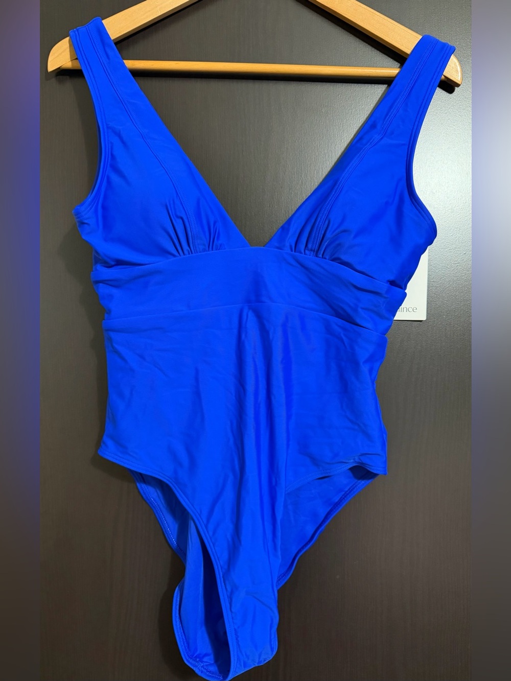 NWT - Quince Electric Blue Italian Plunge One-Piece Swimsuit